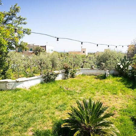 Green House Bed & Breakfast Monopoli Bagian luar foto